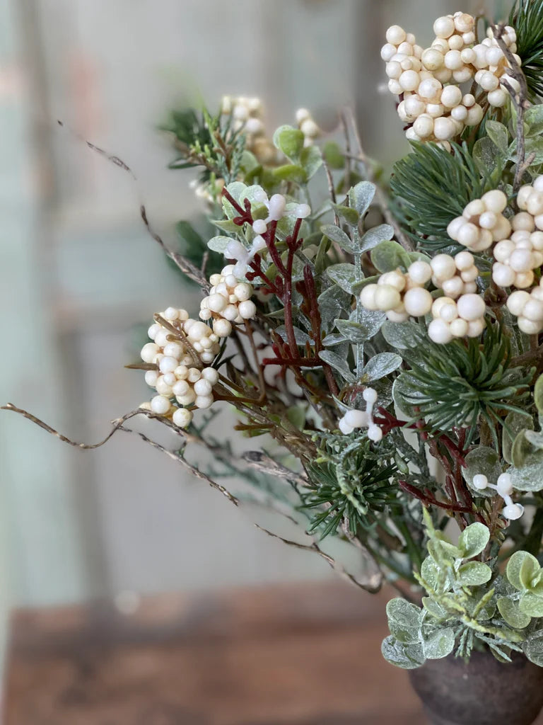 Briar Berry Fir Bush | 11" | Cream