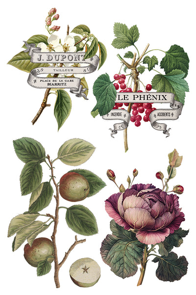 Clementine IOD Transfer 8x12 Pad™