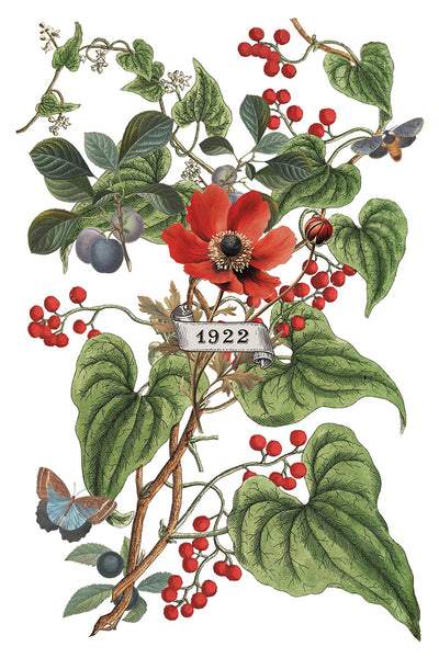 Clementine IOD Transfer 8x12 Pad™