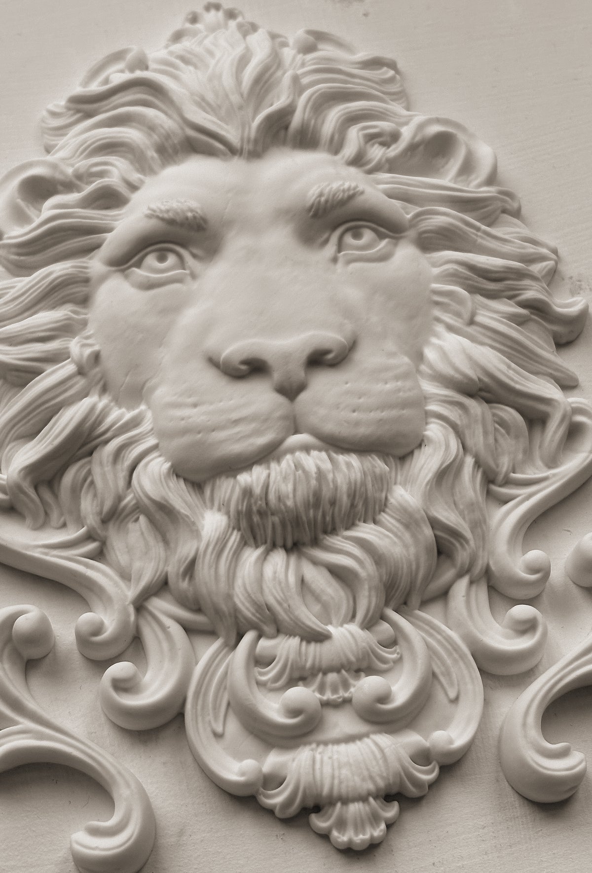 Leonidas 5x7 IOD Mould™
