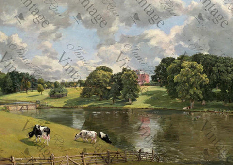 Cows By A River| NEW JRV Rice Decoupage Paper |