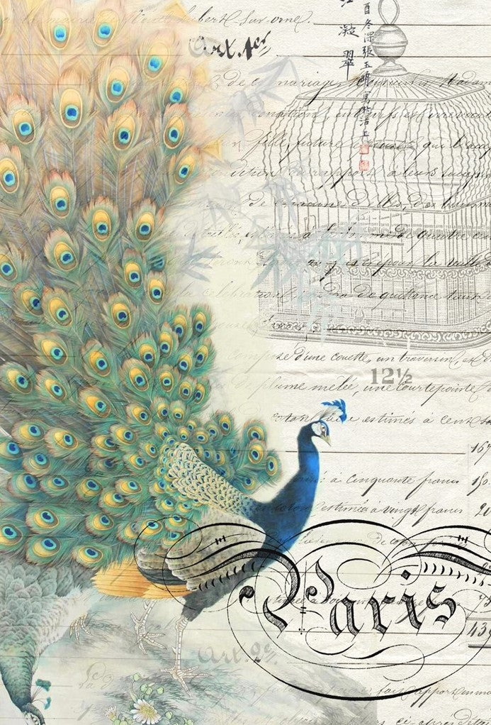 Roycycled Peacock Ephemera Left Decoupage Paper