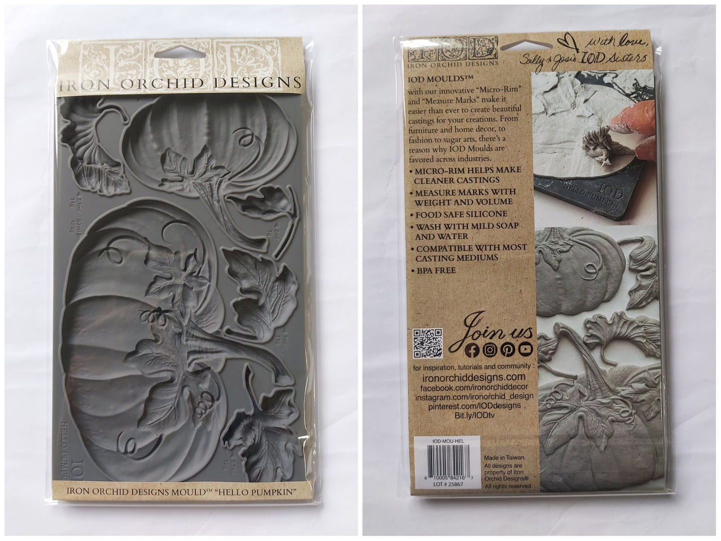 HELLO PUMPKIN 6x10 DECOR MOULD