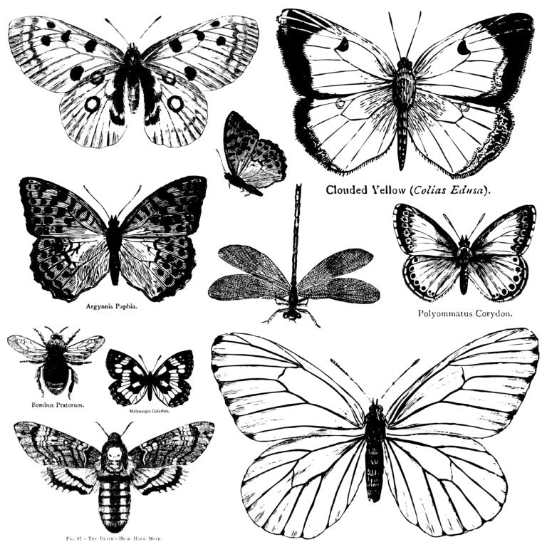 BUTTERFLIES 12×12 DECOR STAMP™