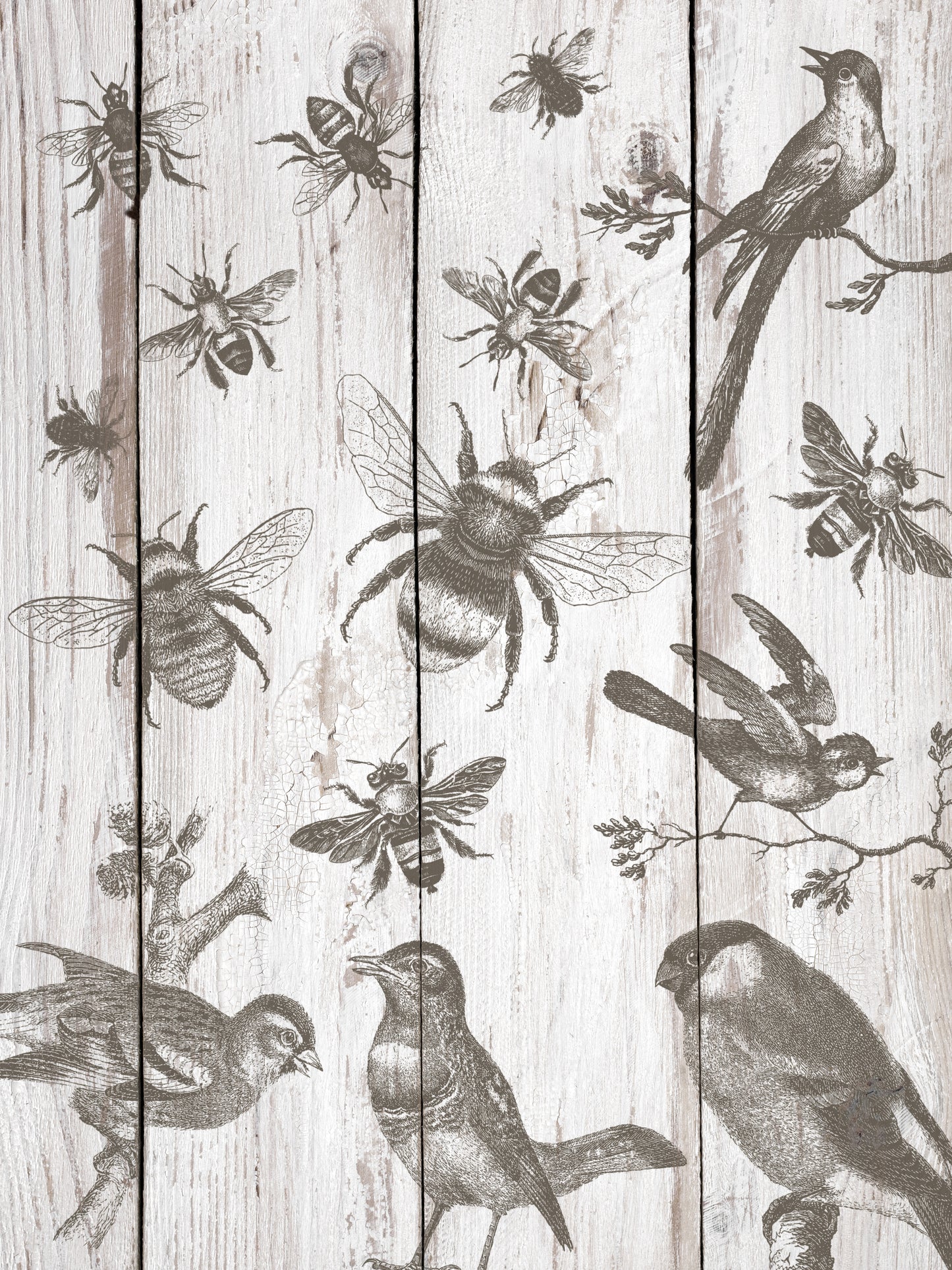 BIRDS & BEES 12×12 IOD STAMP™