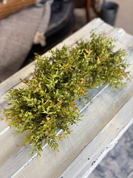 Lemon Beauty Half Sphere | Green | 8" |