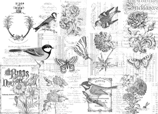 Paintable Botanical |  Roycycled Treasures