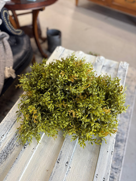 Lemon Beauty Half Sphere | Green | 8" |