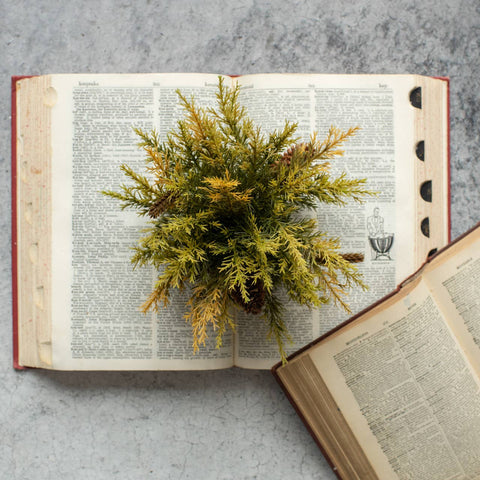 9" Olive & Wheat Prickly Pine Half Sphere Tablepiece