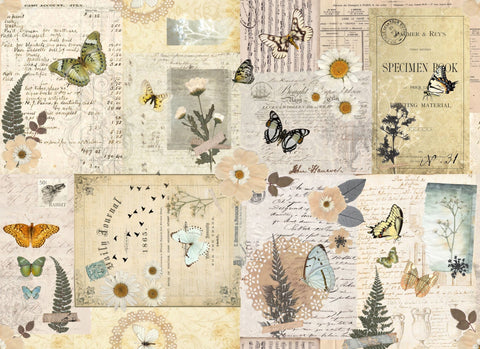 Pressed Flowers | Roycycled Treasures Decoupage Paper
