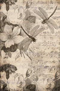 Roycycled Musical Dragon flies Decoupage Paper