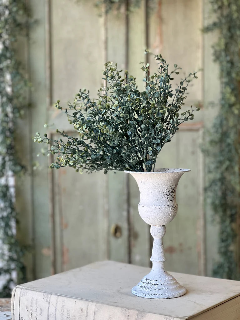 Baby's Twilight Bush | 14" |