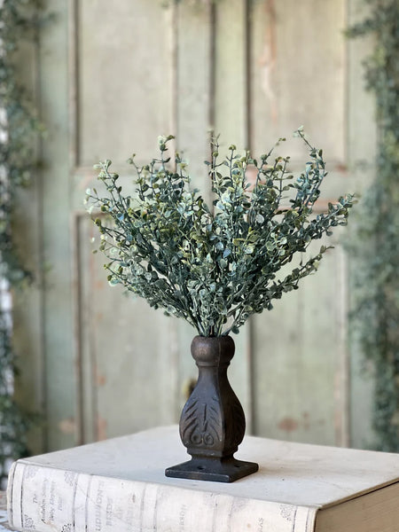 Baby's Twilight Bush | 14" |