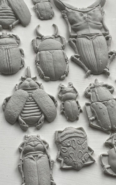 Specimens 6x10 IOD Mould