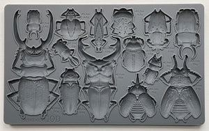 Specimens 6x10 IOD Mould