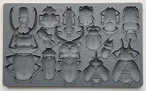 Specimens 6x10 IOD Mould