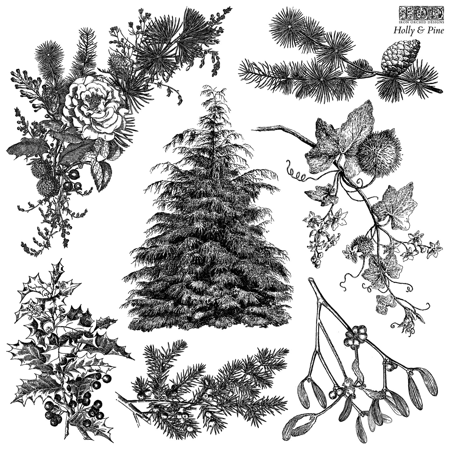 Holly & Pine 12x12 IOD Stamp™
