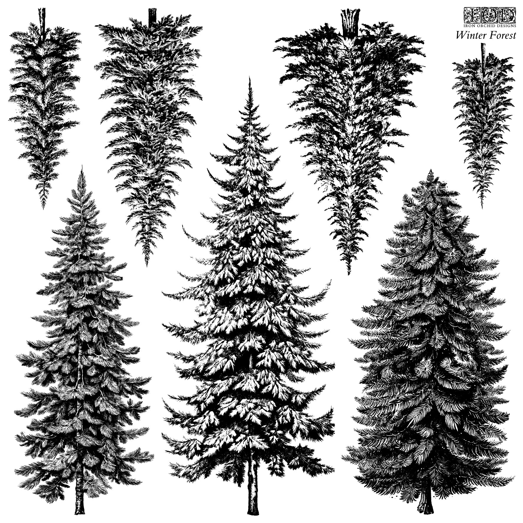 FOREST 12X12 IOD STAMP™