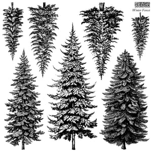 FOREST 12X12 IOD STAMP™