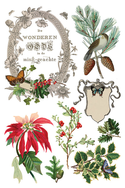 Winter Botanist IOD Transfer 8x12 Pad™