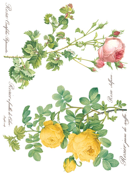 ROSE BOTANICAL IOD TRANSFER 12X16 PAD™