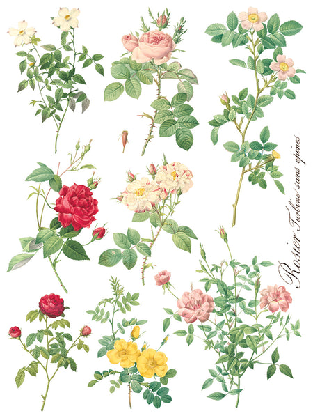 ROSE BOTANICAL IOD TRANSFER 12X16 PAD™