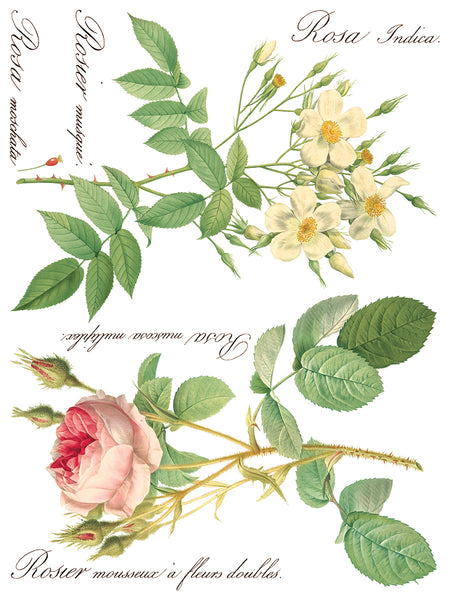 ROSE BOTANICAL IOD TRANSFER 12X16 PAD™