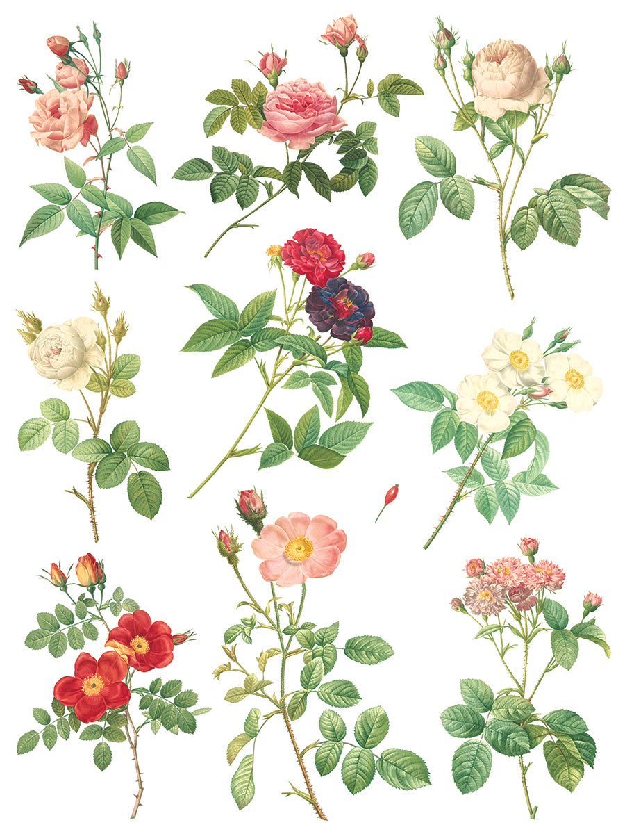 ROSE BOTANICAL IOD TRANSFER 12X16 PAD™