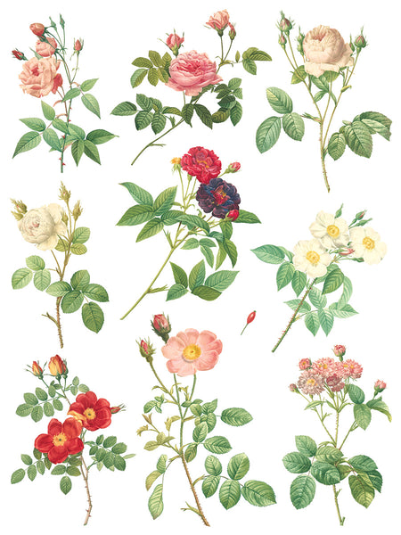 ROSE BOTANICAL IOD TRANSFER 12X16 PAD™