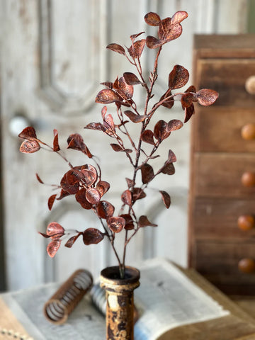 Equinox Eucalyptus | 30.5" | Russet