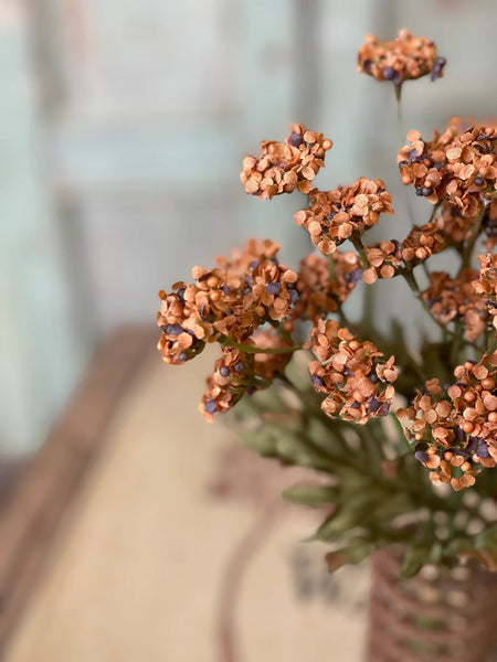 Fennel Flower Bundle | 13" | Pumpkin