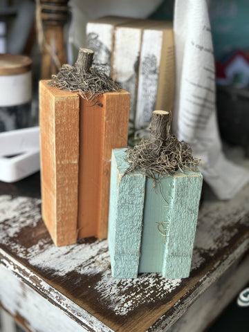 Set of 2 | Small Rustic Pumpkins