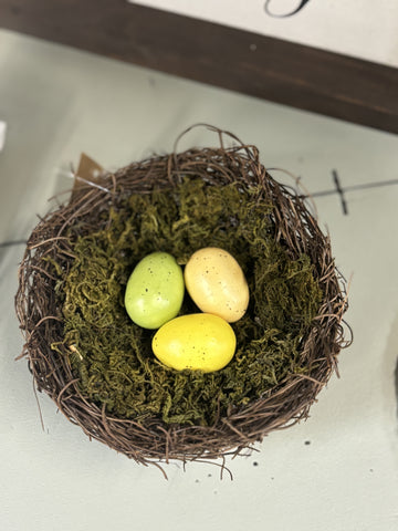 Birds Nest w/ Eggs and Moss