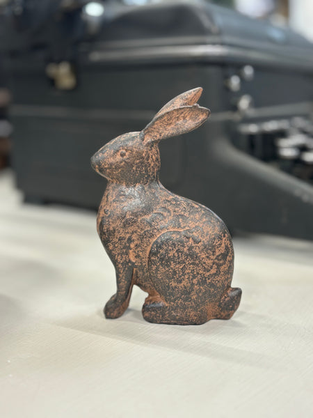 Small Brown Bunnies