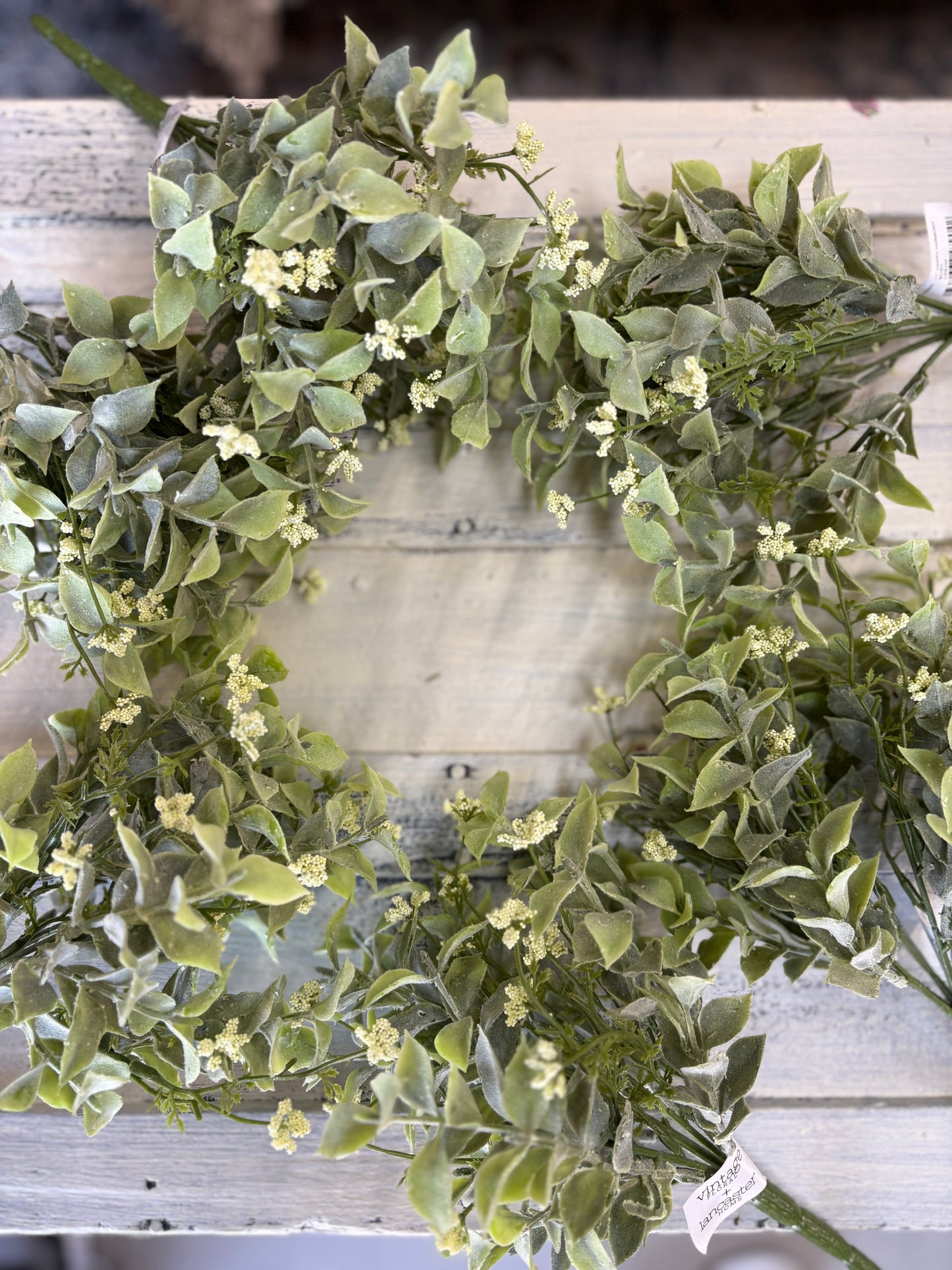 Happy Harmony Bush | 11" | Cream |