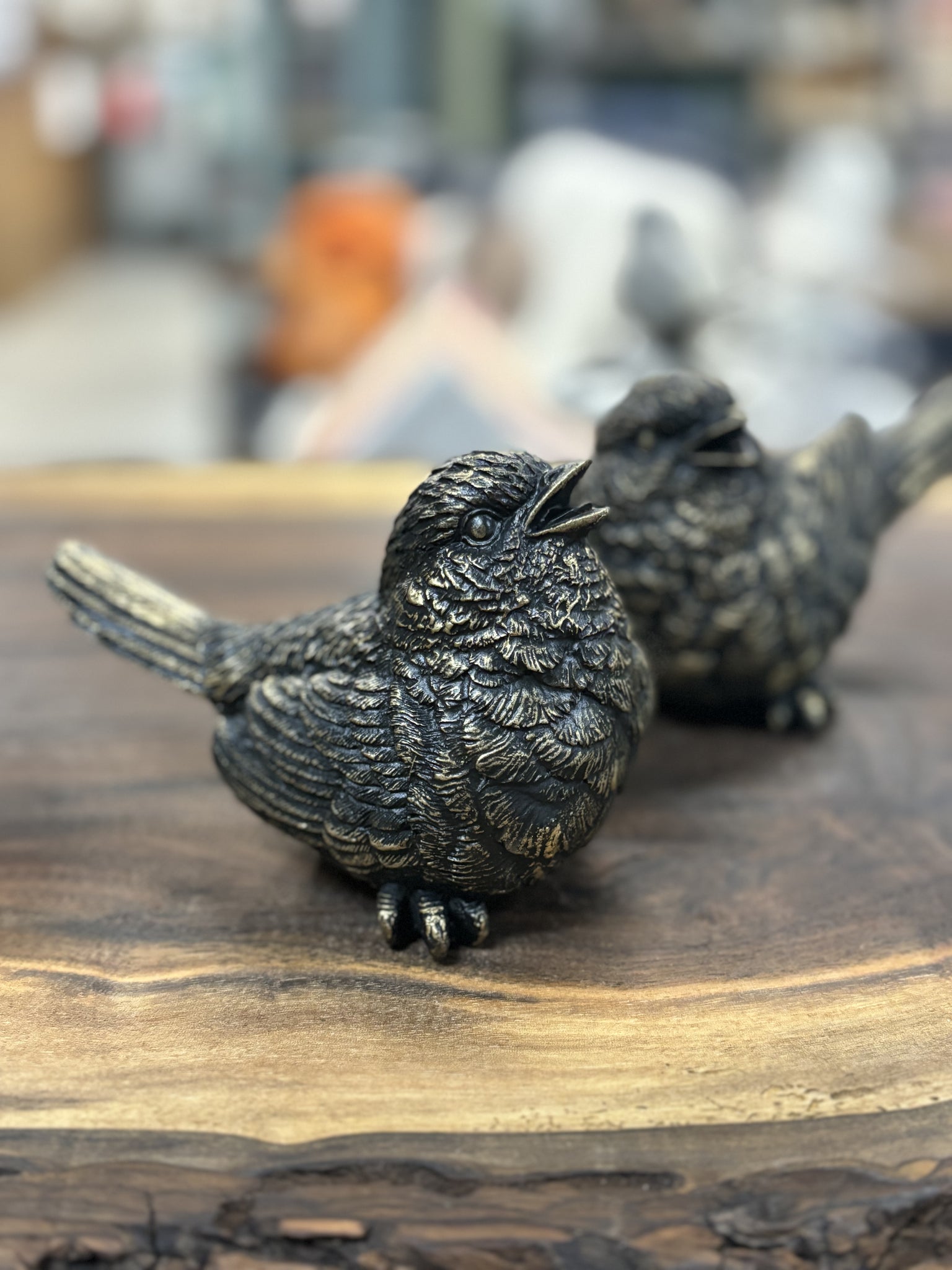 (Set of 2) Bronzed Birds