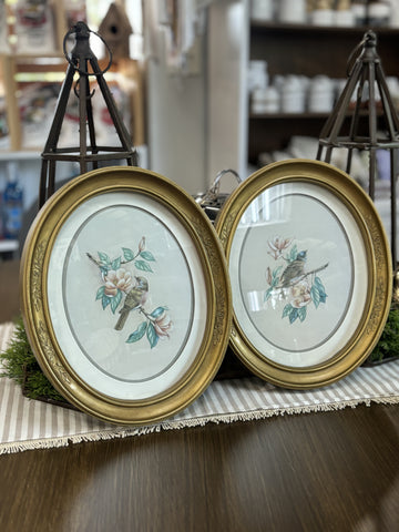 (Set of 2) Vintage Framed Bird Pictures