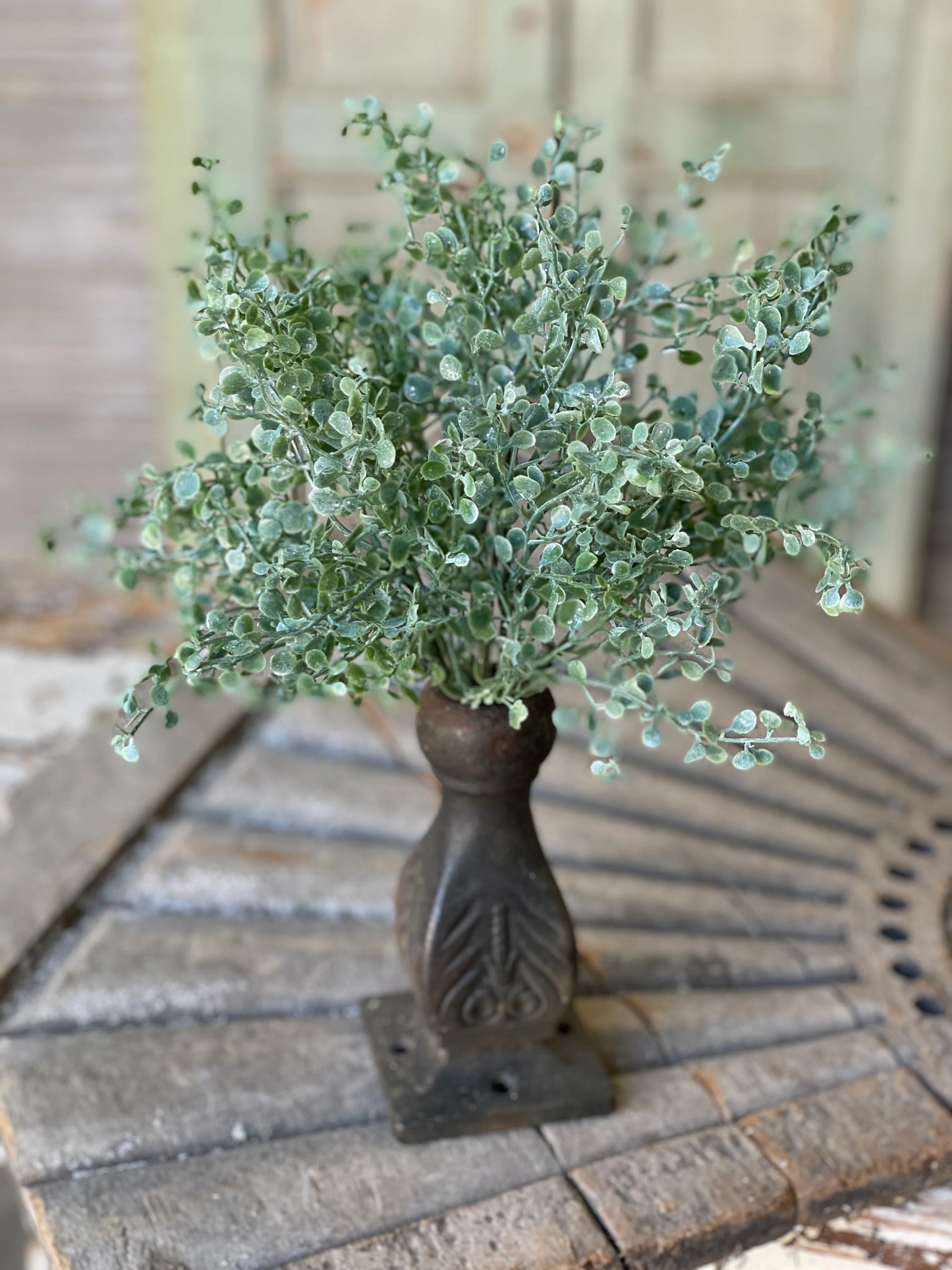 Shimmering Tremble Leaf Bush | 13" |
