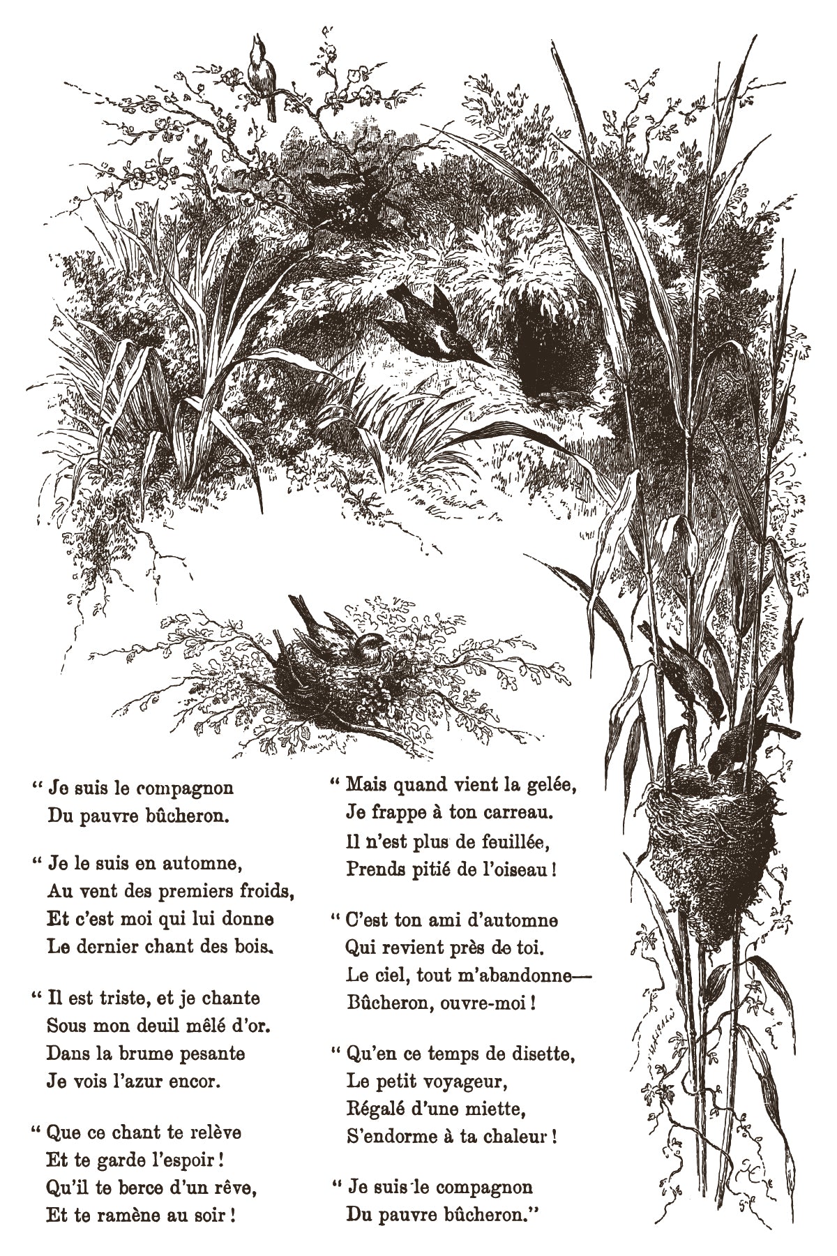 Little Lark IOD Paint Inlay | 8 Pages | 8” x 12” |