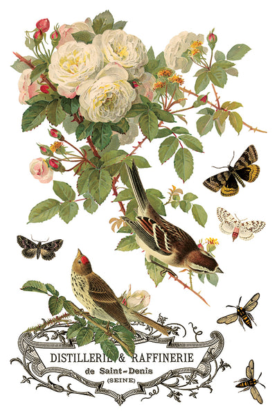 By Any Other Name IOD Transfer 8x12 Pad™