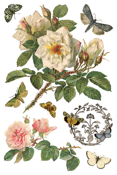 By Any Other Name IOD Transfer 8x12 Pad™