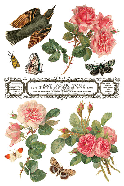 By Any Other Name IOD Transfer 8x12 Pad™