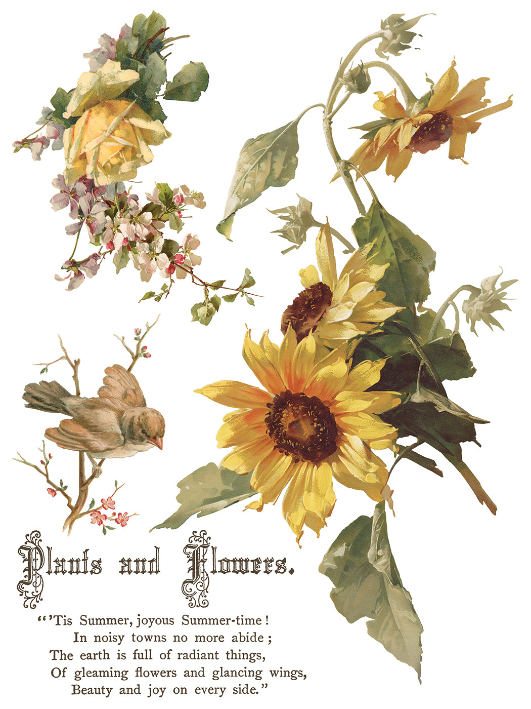 Flowers by the Poets IOD Transfer | 8 Pages | 12” x 16” |