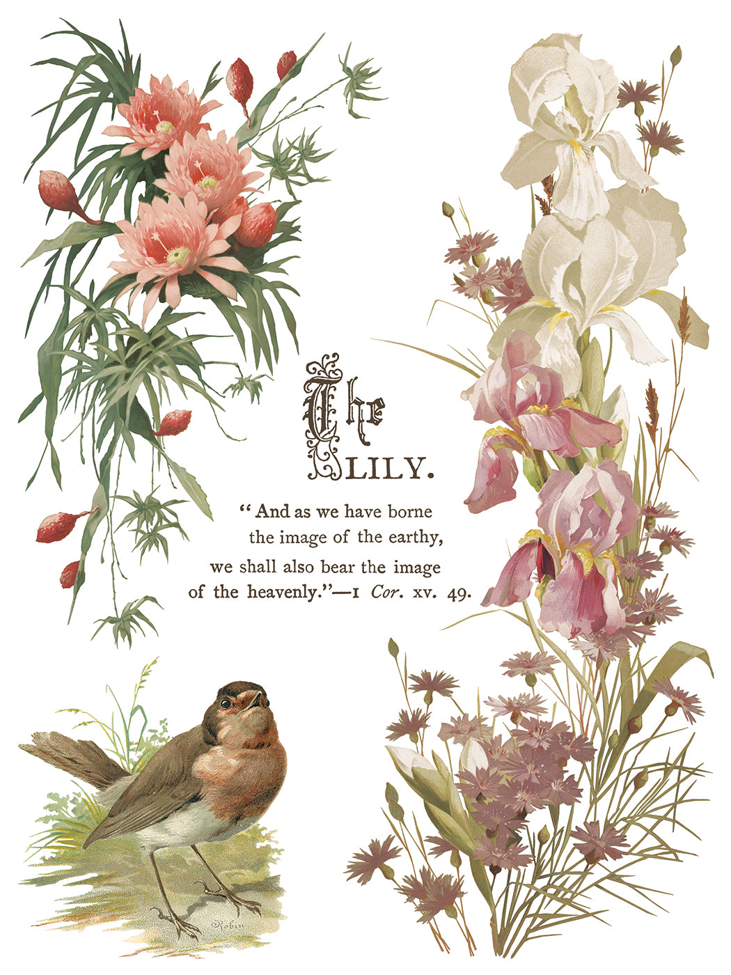 Flowers by the Poets IOD Transfer | 8 Pages | 12” x 16” |