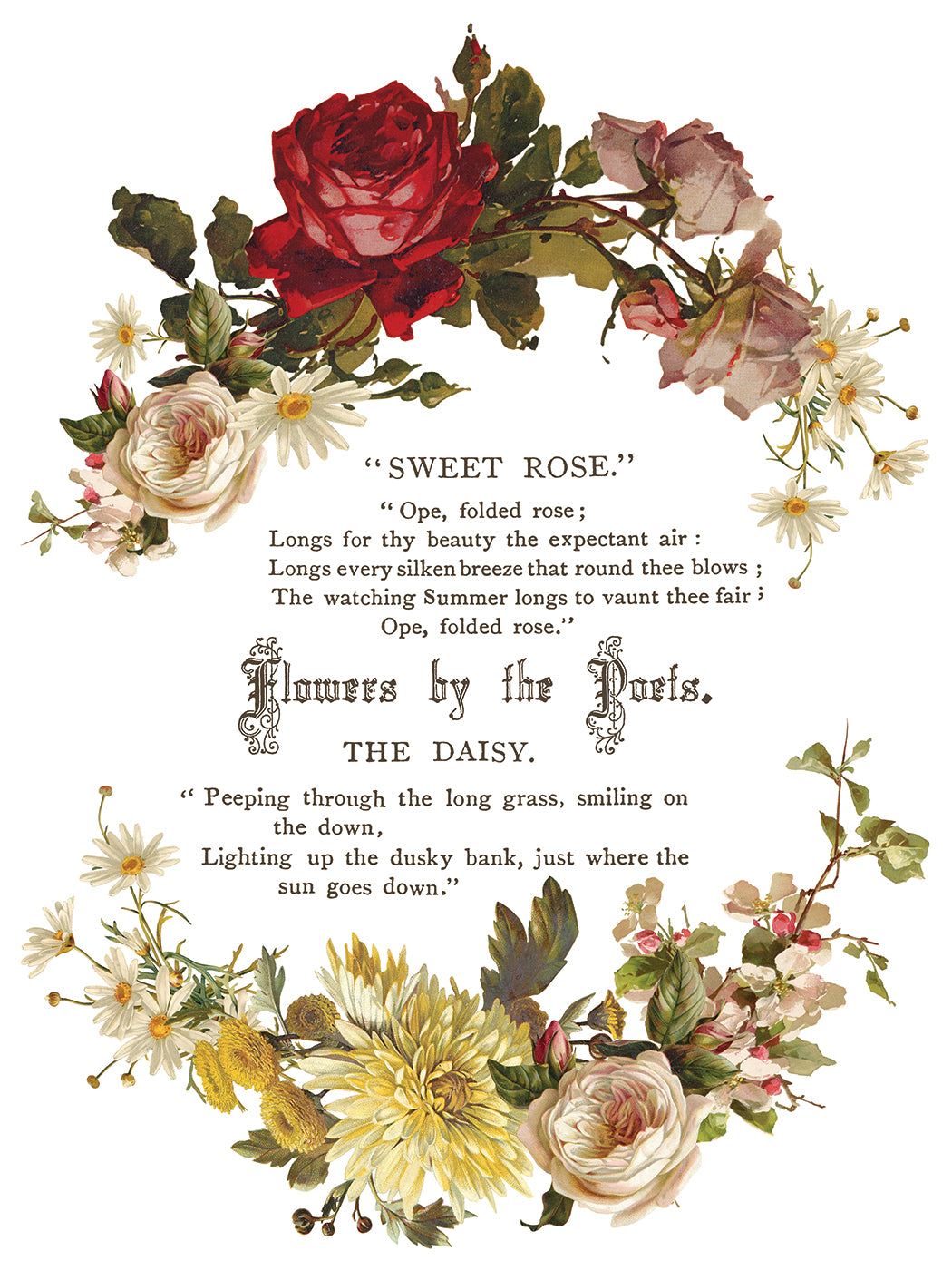 Flowers by the Poets IOD Transfer | 8 Pages | 12” x 16” |