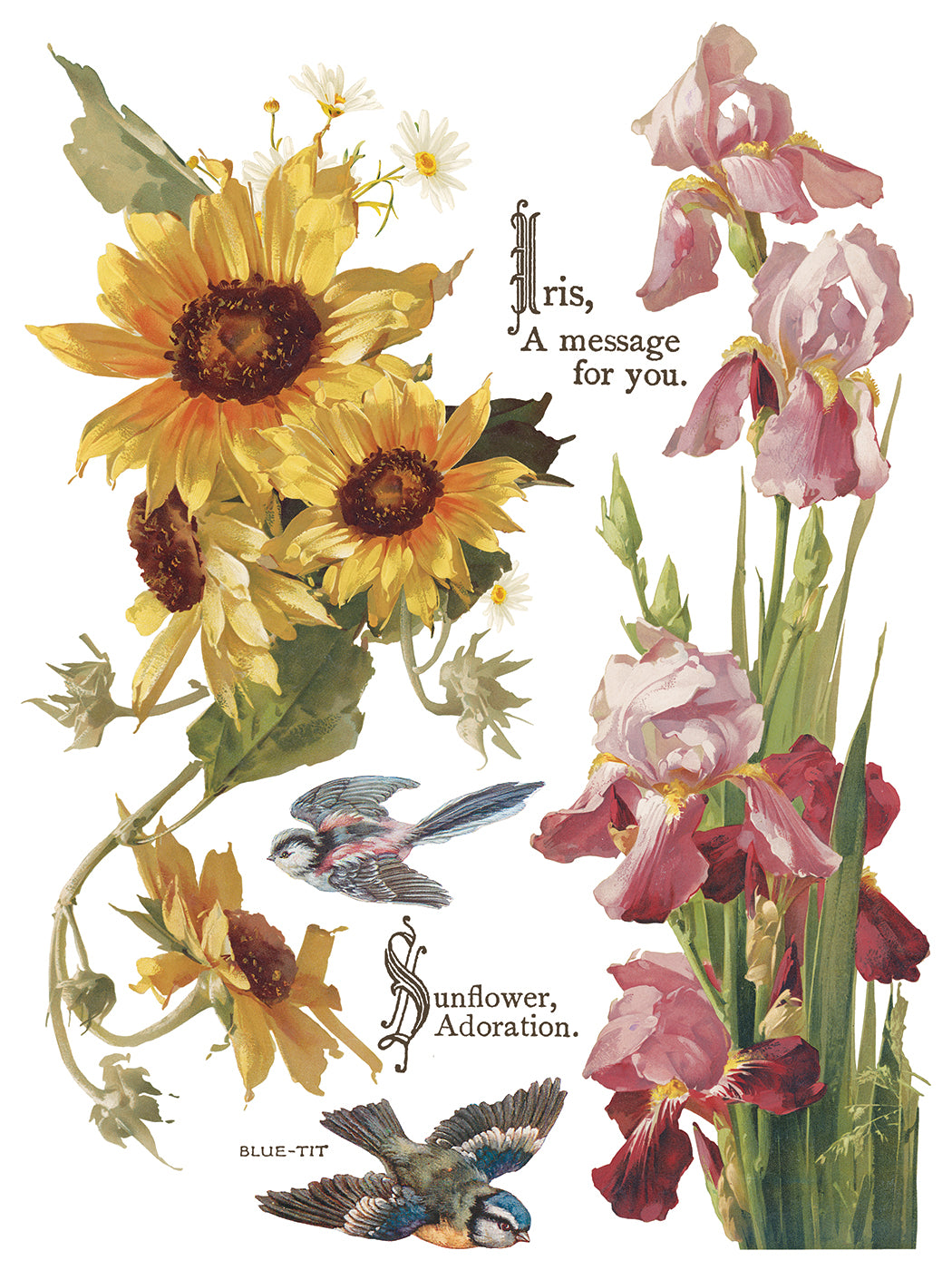 Flowers by the Poets IOD Transfer | 8 Pages | 12” x 16” |