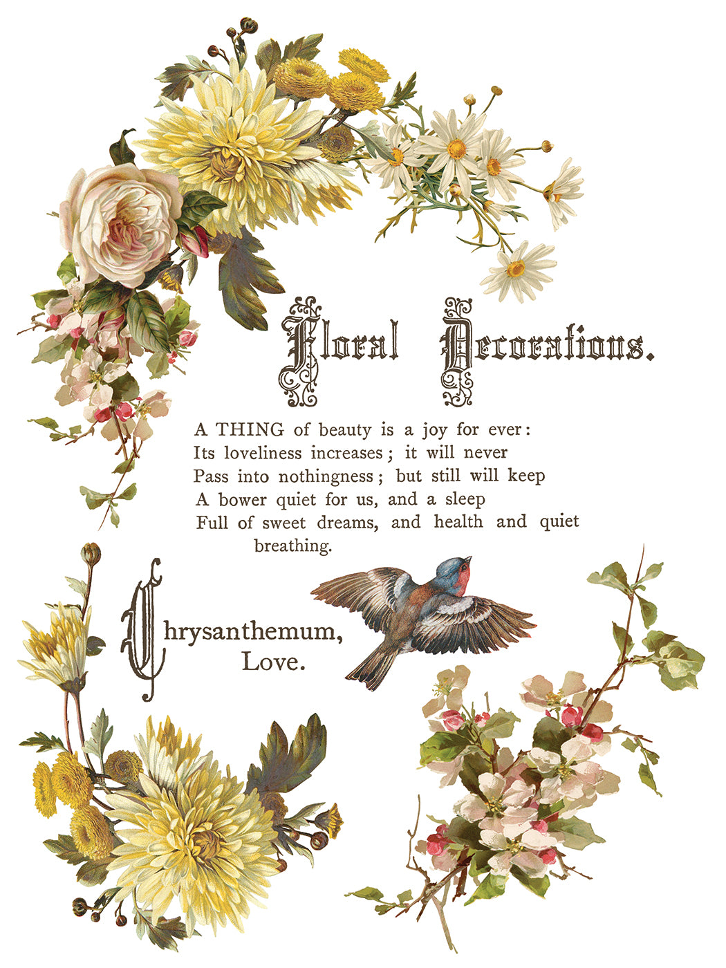 Flowers by the Poets IOD Transfer | 8 Pages | 12” x 16” |