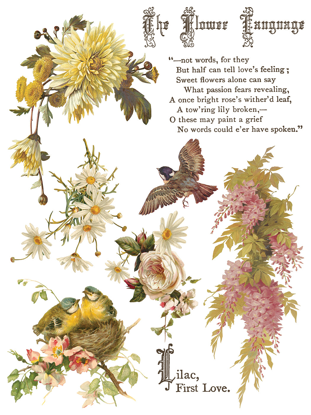 Flowers by the Poets IOD Transfer | 8 Pages | 12” x 16” |