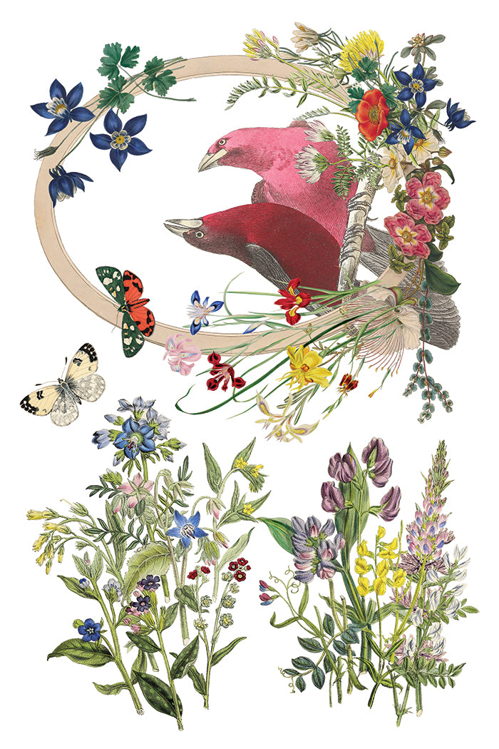 Flora Greca IOD Transfer 8x12 Pad™