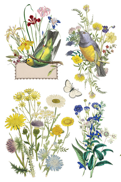 Flora Greca IOD Transfer 8x12 Pad™